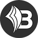 Bizapedia Directory Logo