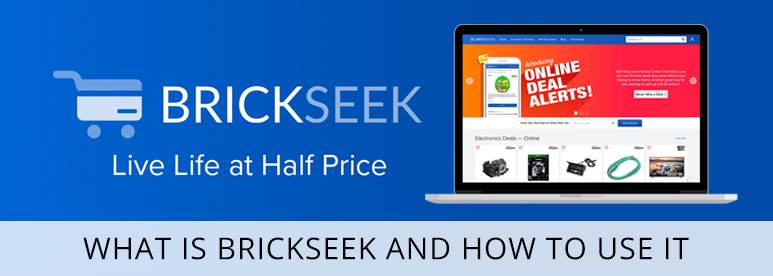 What is Brickseek and How to Use It